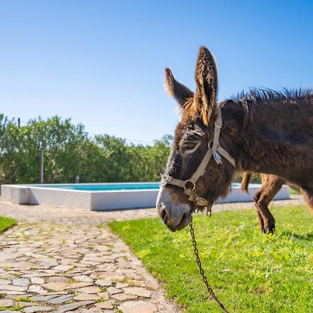 Burro Ville By Host Wise Portimão Εξωτερικό φωτογραφία