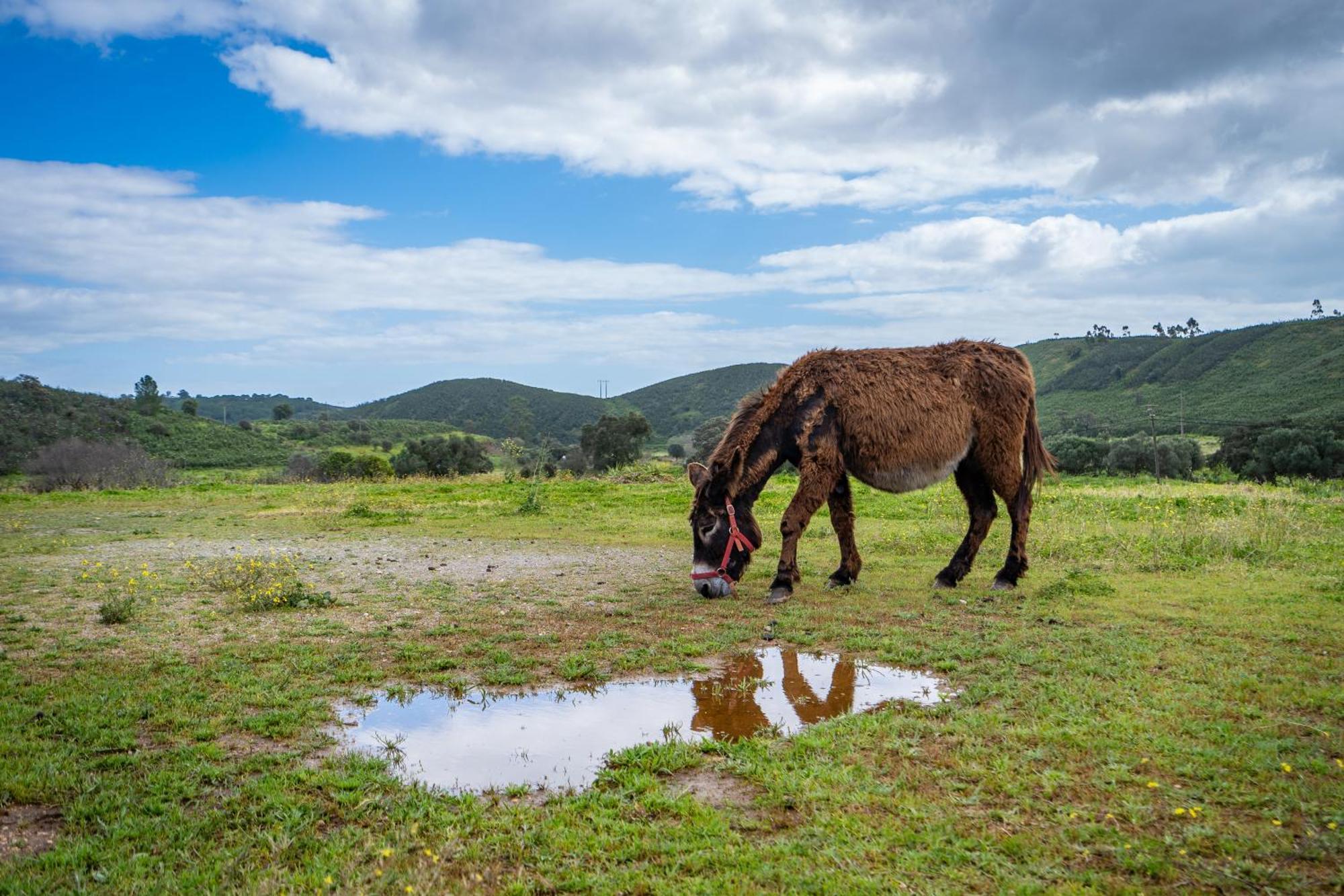 Burro Ville By Host Wise Portimão Εξωτερικό φωτογραφία