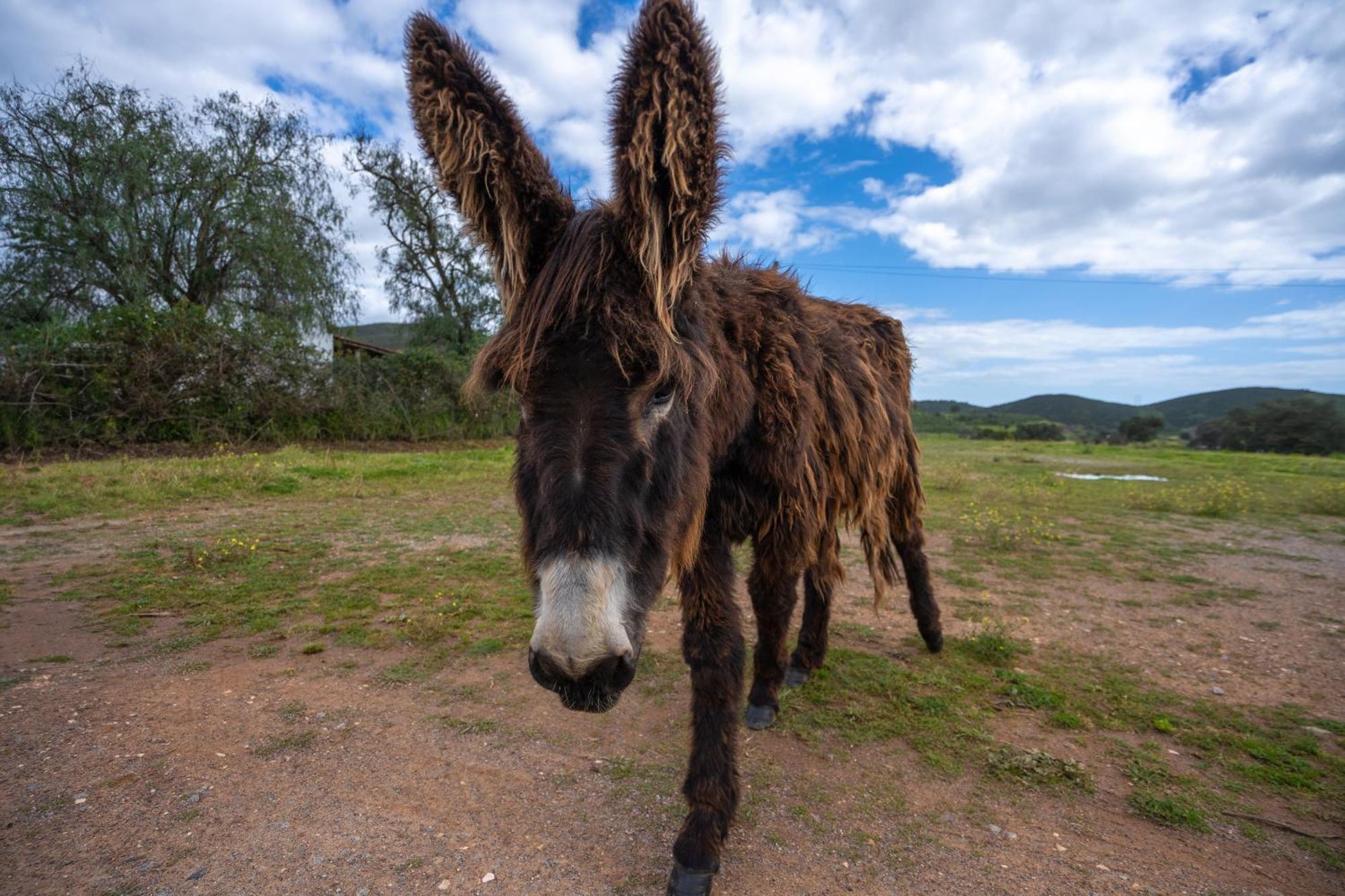 Burro Ville By Host Wise Portimão Εξωτερικό φωτογραφία