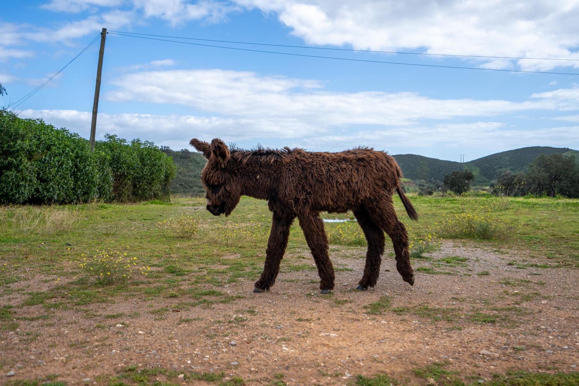 Burro Ville By Host Wise Portimão Εξωτερικό φωτογραφία