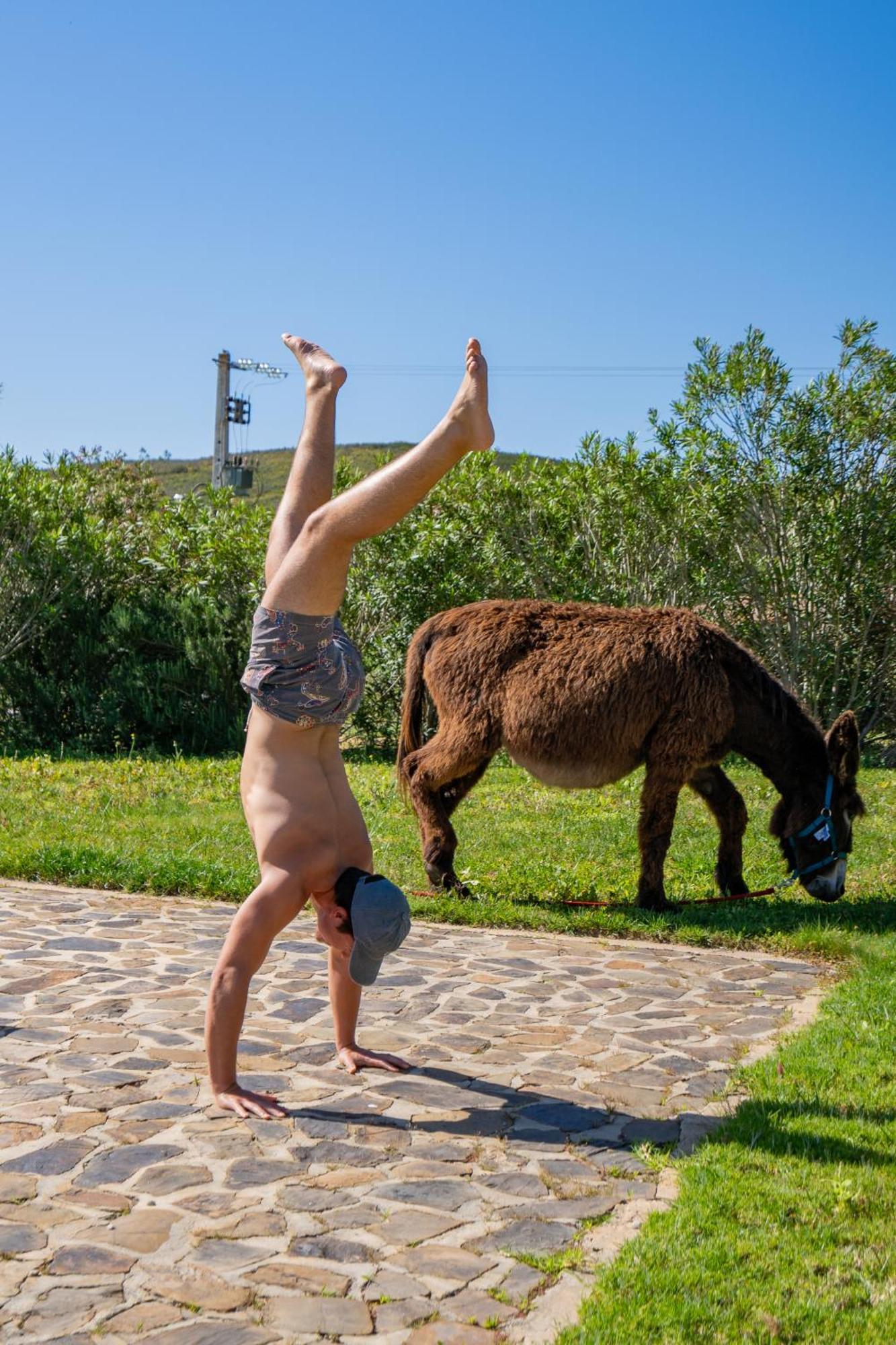 Burro Ville By Host Wise Portimão Εξωτερικό φωτογραφία