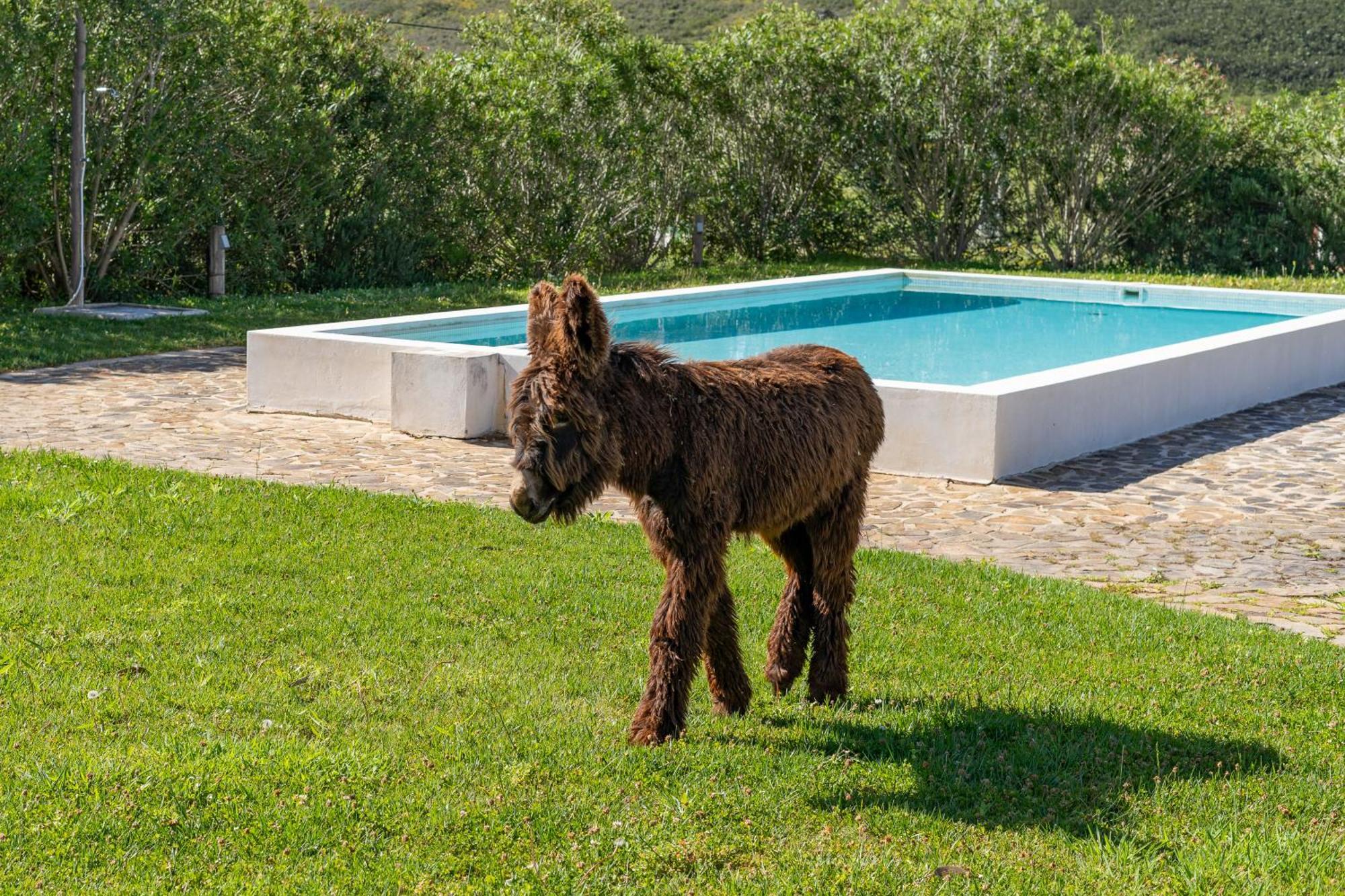 Burro Ville By Host Wise Portimão Εξωτερικό φωτογραφία